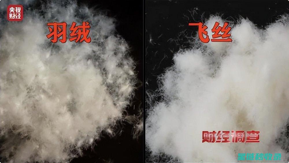 羽绒服怎么干净视频教程