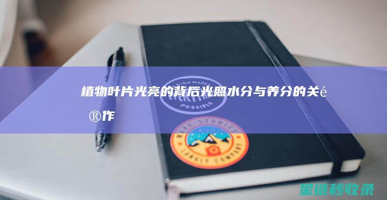 植物叶片光亮的背后：光照、水分与养分的关键作用 (植物叶片光亮剂配方)